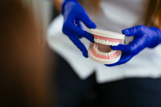 Best Traditional Braces  in Algona, WA